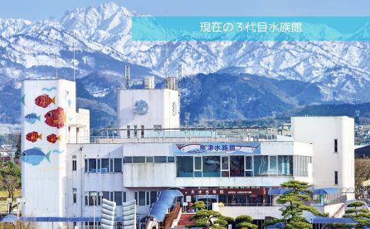 魚津水族館 入館年間パスポート引換券/一般(高校生以上)※北海道・沖縄・離島への配送不可