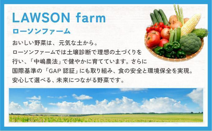 ローソンファーム北海道岩内レトルトとうもろこし15本セット 15本セット