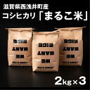 【ふるさと納税】【新米：令和6年産】滋賀県西浅井町産コシヒカリ「まるこ米」2kg×3 滋賀県長浜市/ONE SLASH 株式会社 [AQCZ003] 米 お米 白米 新米 6kg ※着日指定不可