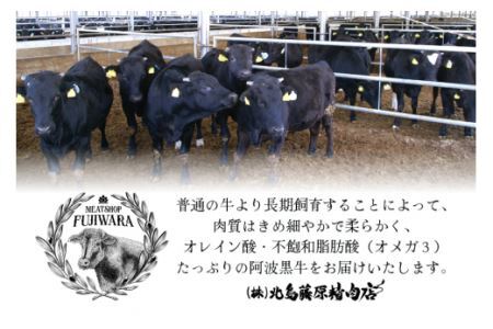 牛肉 阿波黒牛 旨味タレ漬け食べ比べセット 300g×2パック