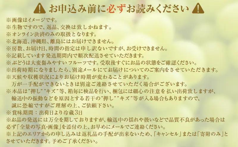 訳あり シャインマスカット 2房 合計 約1kg 岡山県 高梁市産 2026年 先行予約 常温 ぶどう フルーツ 葡萄 ブドウ 皮ごと 産地直送 大粒 爽やか 食べやすい