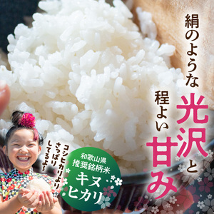 BB6222_和歌山県産 キヌヒカリ 20kg ( 10kg × 2）2025年産