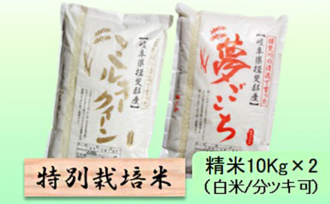 特別栽培米★精米20kg（白米/5分/7分ツキ可）【ミルキークイーン・夢ごこち】 玄米は別に出品　白米