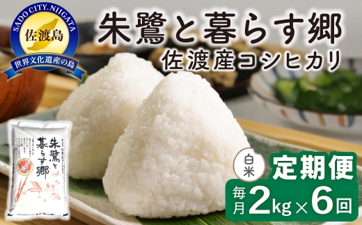 【定期便 令和8年産新米 6か月】 佐渡島産コシヒカリ 白米 2kg 令和8年産新米 特別栽培米 | 新潟県産コシヒカリ 新潟産コシヒカリ 佐渡産コシヒカリ 新潟県産こしひかり 佐渡産こしひかり お米 米 こしひかり 白米 精米 おこめ コメ 2キロ にいがた さど 新潟県 佐渡市
