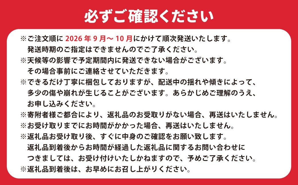 熊本名産 ジャンボ新高梨