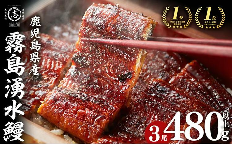 【志布志市人気No.1お礼の品】霧島湧水鰻の蒲焼き 160g以上×3尾＜計480g以上＞ a5-388