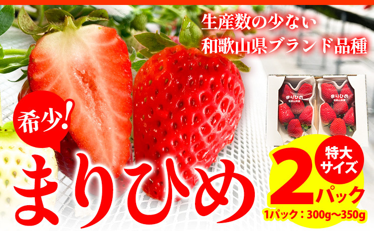 
            希少！まりひめ　特大サイズ　約300g～350g×2パック きよ農園《2026年1月中旬-3月下旬頃出荷》和歌山県 日高町 いちご 苺 まりひめ フルーツ 果物 スイーツ 送料無料 
          