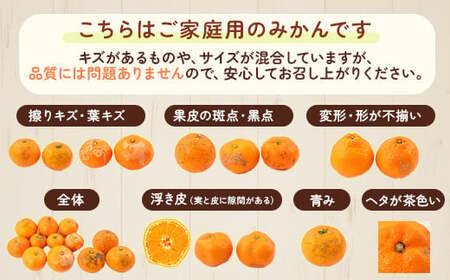 〈10月より発送〉ゆら早生 プレミアム有田みかん 2.5kg+250g（傷み補償分） ｜ みかん