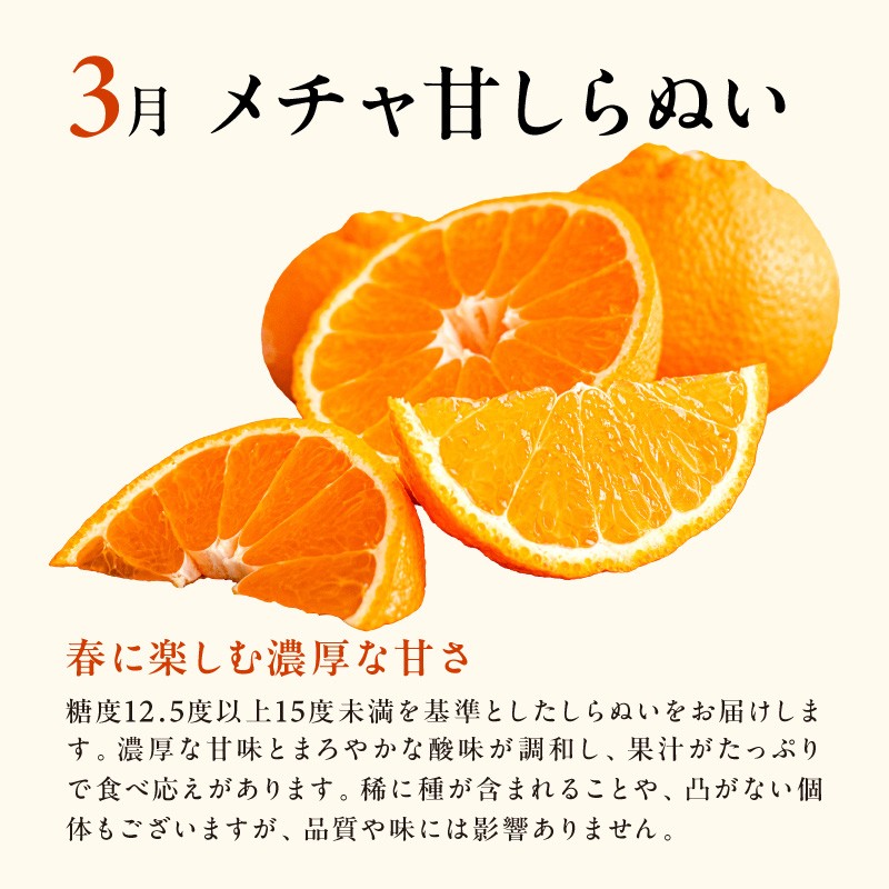 【2027年発送 先行予約品】