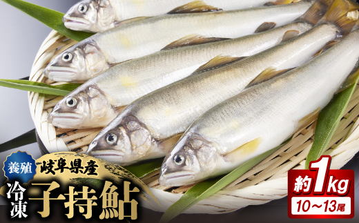 
                  岐阜の鮎　冷凍子持鮎(約1kg:10～13尾)【1617821】
                