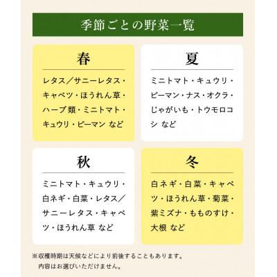 ふるさと納税 豊岡市 旬の新鮮なお野菜を産地直送!ベジプラ特選 旬の野菜セット |  | 03