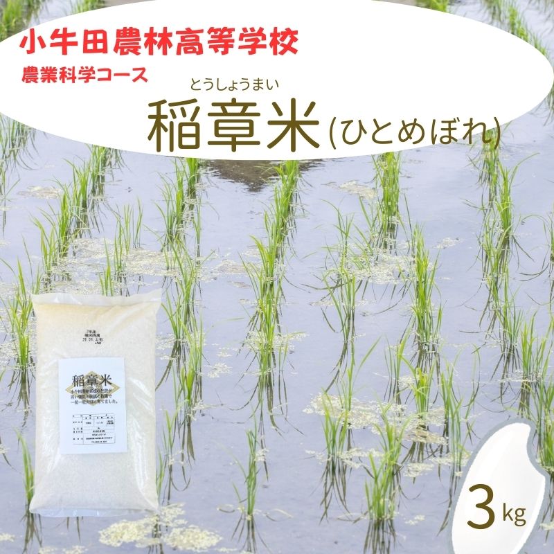 【ふるさと納税】 小牛田農林高校栽培米 ひとめぼれ 3kg / 精米 小分けお米 米 玄米 ひとめぼれ