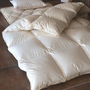【新生活・来客用に…】お布団3点セット シングル(羽毛掛け布団・敷き布団・枕)【1178551】