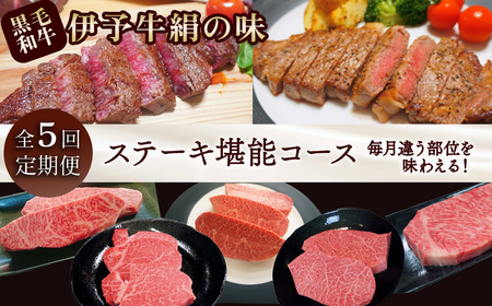 5回定期便 【日時指定可・冷蔵】伊予牛絹の味 ステーキ堪能コース  ※関東以北・沖縄は冷凍｜ 黒毛和牛 A4～A5