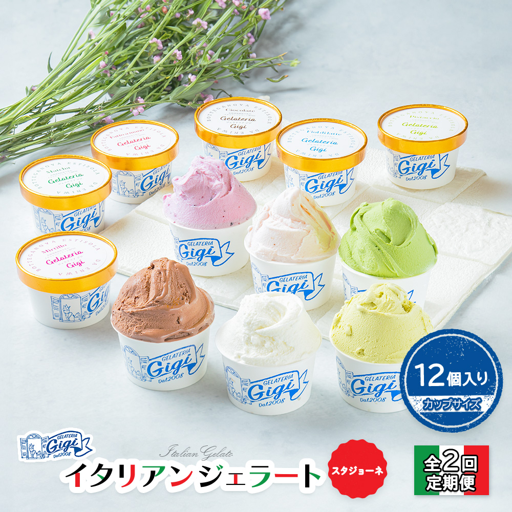 【定期便：全2回】ジェラテリアGigiのイタリアンジェラート6種(Gigiのおまかせ1種入り）【カップサイズ12個】 (牛乳、ピスタチオ、抹茶、チョコレート、ブルーベリーヨーグルト、Gelateria Gigiが選ぶおまかせジェラート)x2【43004BB0201】