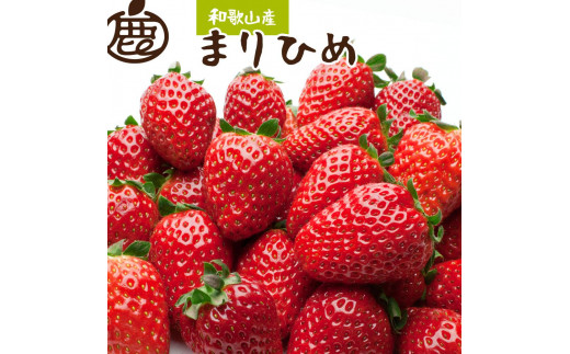 
                  朝摘み完熟まりひめ約1.2kg（300g前後×4トレイ）［和歌山ブランド苺まりひめ］［こだわりの土耕栽培のいちごを農家直送］［IKE97］
                
