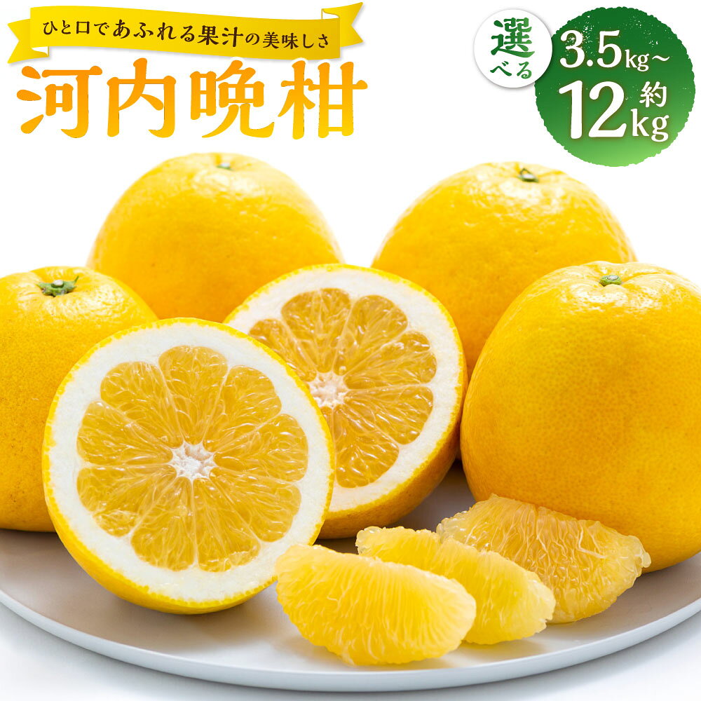 【ふるさと納税】河内晩柑 M～3L混合＜選べる内容量＞【ひと口であふれる果汁の美味しさ】 約3.5kg / 約6kg / 計約12kg（約6kg×2箱） 柑橘 かんきつ フルーツ くだもの 果物 果実 デザート 国産 愛媛県産 送料無料 【2027年3月下旬～7月上旬】（1088）（1089）（1090）