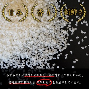 Y005 “土づくりの恵み” つやっつやの特別栽培米お届け  12ヶ月コース