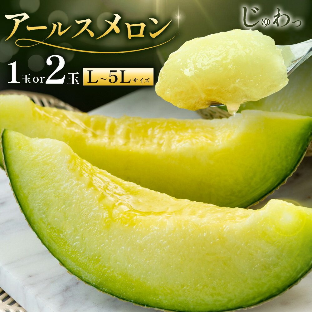 【ふるさと納税】アールスメロン 1玉 2玉 Lサイズ/2L～3Lサイズ/4L～5Lサイズ 選べるメロンのサイズ メロン《4月上旬～11月中旬に順次発送予定》熊本県 菊池市 果物 フルーツ 青果物 菊池市産 熊本県産 九州産 国産 送料無料