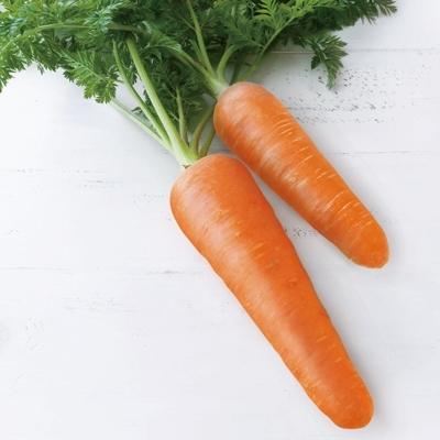 ふるさと納税 岸和田市 「岸和田産・にんじん彩誉入塩昆布セット」 |  | 02