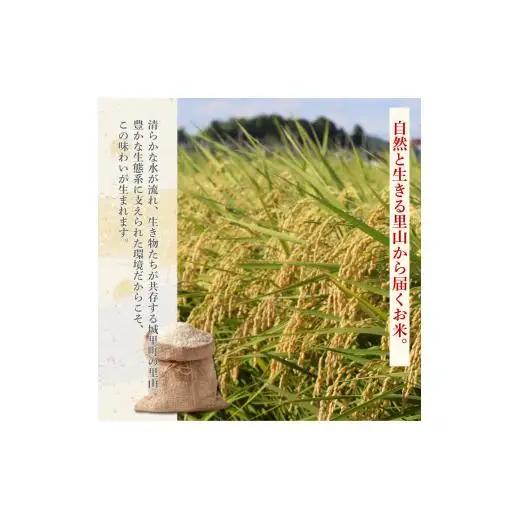 ほたる米 5kg（茨城県共通返礼品・城里町産） / 米 こめ コメ お米 おこめ ほたる米 白米 精米 ごはん ご飯 令和7年産 5kg 茨城県 城里町 利根町