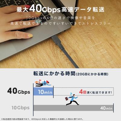 ふるさと納税 海老名市 シリコンケーブル  PD240W CtoC 1m エアリーホワイト(MOT-SCBU4CCG) |  | 02