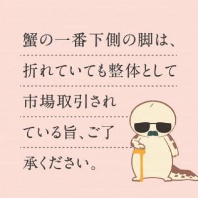 ふるさと納税 日南町 OM26【早期先行予約】ブランドタグ付高級生松葉ガニ(約1kgを1枚) |  | 03