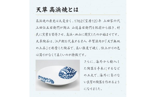 S026-188_【シルバー】海松紋一人暮らし食器4点セット