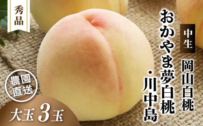 岡山白桃 おかやま夢白桃・川中島 秀品 大玉3玉 momo48 【配送不可地域：北海道／沖縄県／離島】 【jujy083-01】
