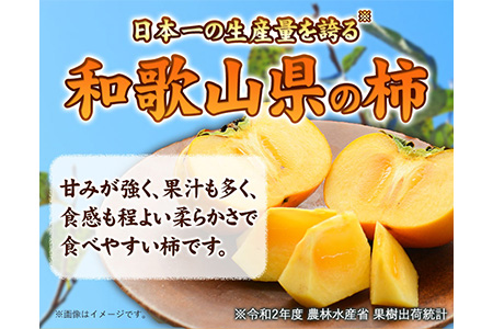 和歌山県産 柿 約2.5kg(11玉-12玉)前商店《9月下旬-11月中旬頃出荷》