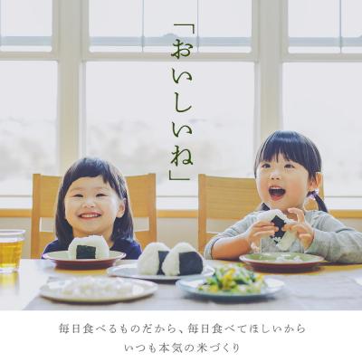 ふるさと納税 知内町 きたくりん 米 一合 150g× 2袋 国産 北海道 北海道米 北海道産 きたくり |  | 02