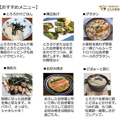 ふるさと納税 三条市 先行受付 自然薯 カットパック 約600g(300g×2) 山芋 とろろご飯に 【010S660】 |  | 02