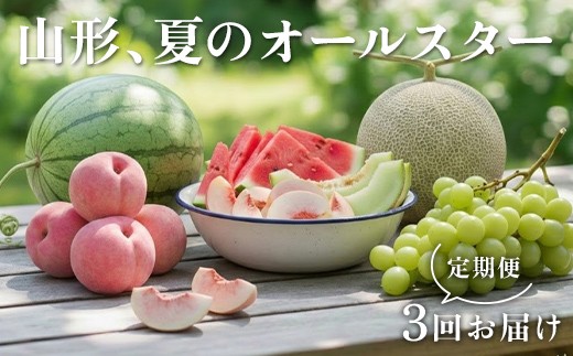 
                  【2027年先行予約】 山形、夏のオールスター定期便 FSY-2933
                