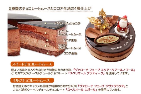 クリスマスケーキ 『プレミアムショコラ』5号 ちょっとリッチな チョコレートケーキ【お届け予定：12/20～12/24】冷凍発送 北海道 新ひだか町 クリスマスケーキ クリスマスケーキ クリスマスケー