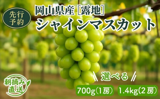 
                  【2026年先行予約】［露地］岡山県産シャインマスカット 700g/1.4kg
                