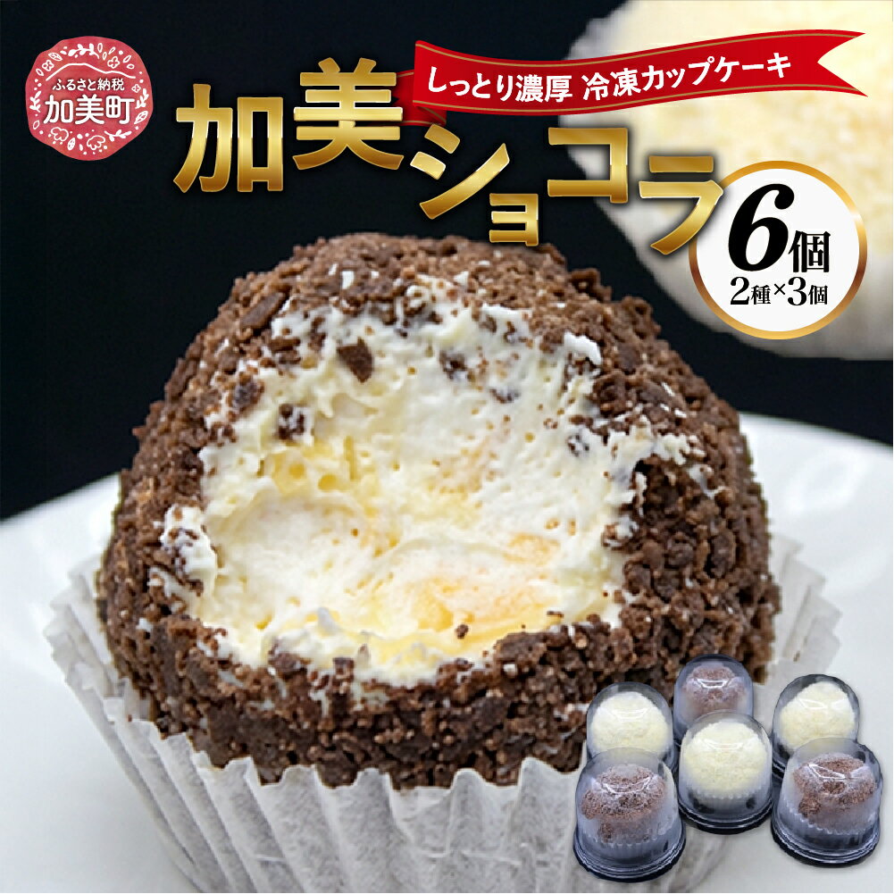 【ふるさと納税】復刻版バフンケーキ　加美町名産　『加美ショコラ』　2種×各3個　(計6個入り) [やくらい土産センター 宮城県 加美町 44581293]