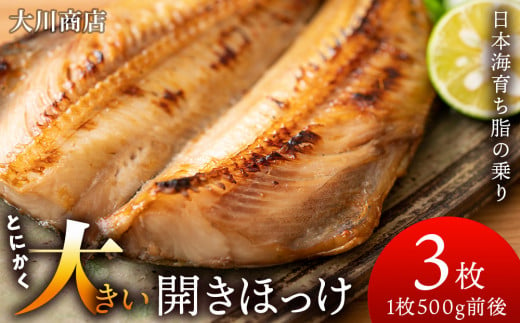 とにかく大きい 開きほっけ 3枚 セット ＜ 大川商店 ＞ ホッケ ほっけ 魚 北海道 干物 冷凍 北海道産