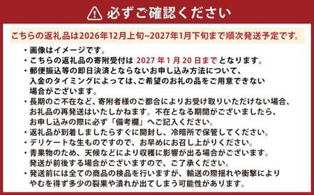 熊本県産 ハウス デコポン 約3kg 蜜柑 みかん 柑橘 果物 くだもの フルーツ 【2026年12月上旬発送開始】