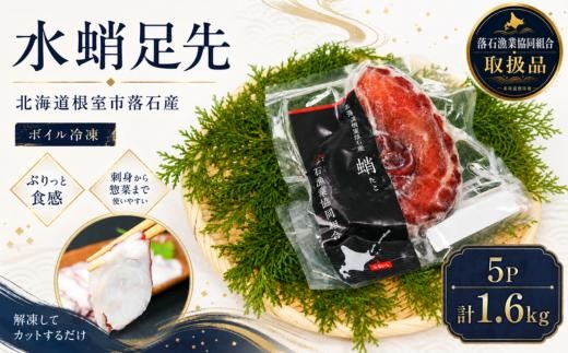 
                  B-20006 【北海道根室産】ボイル水たこ足先5P(計1.6kg)
                