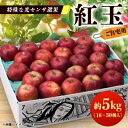 【ふるさと納税】【ご自宅用　紅玉　令和7年9月下旬～発送】約5k(18～30個入)黒昇会DB箱入　特殊な光センサ選果_ りんご 紅玉 林檎 リンゴ 青森県 光センサー 果物 くだもの フルーツ デザート 調理用 お菓子作り 自宅用 【配送不可地域：離島】【1328602】