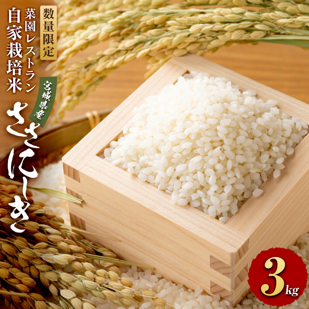 【ふるさと納税】【令和7年産】数量限定　菜園レストラン「野の風」自家栽培米　ササニシキ3kg