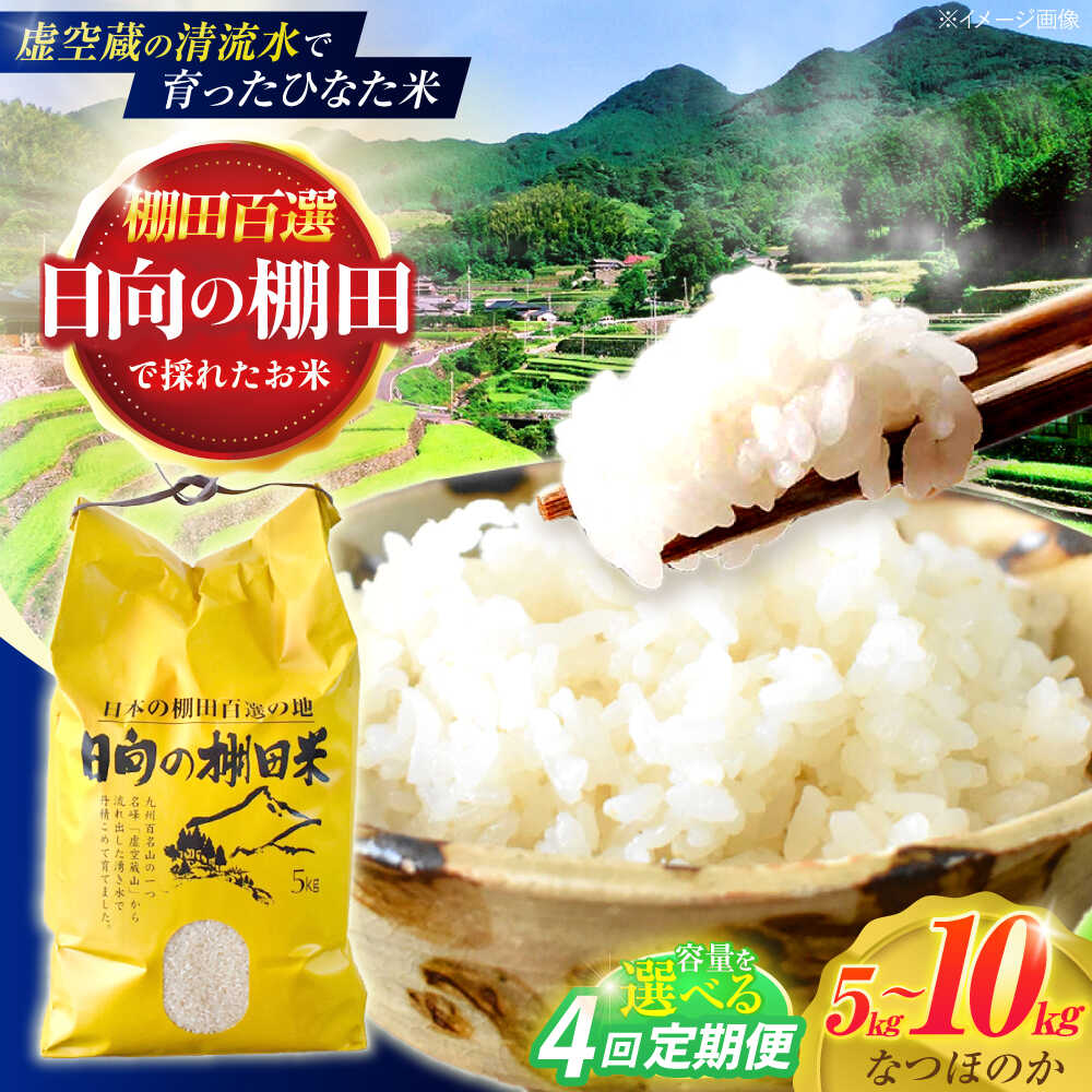 【ふるさと納税】＜容量選べる！＞【4回定期便】虚空蔵の清流水で育った棚田米『ひなた米』 5kg・10kg【木場中山間管理組合】[OCM044]