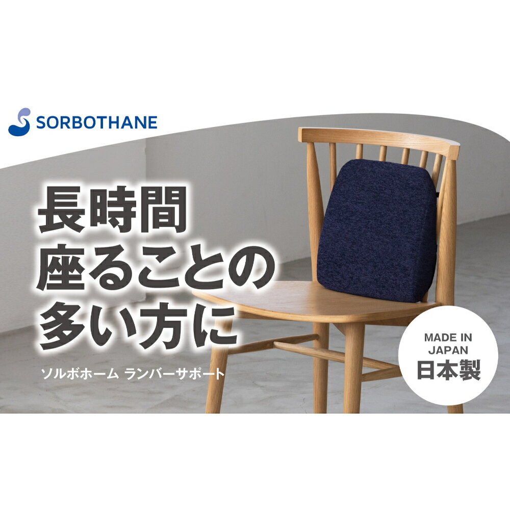 【ふるさと納税】ランバーサポート ソルボセイン ソルボ ホーム ランバーサポート 背もたれクッション 腰痛対策 体圧分散 長時間座る方に 腰 負担軽減