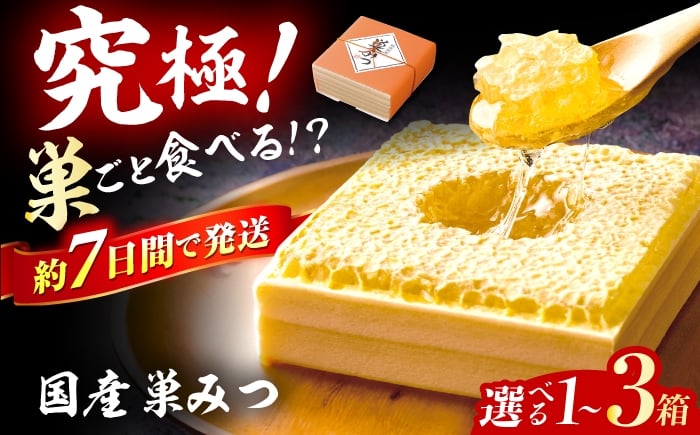 
            【選べる箱数】国産巣みつ 1箱～3箱 蜂蜜 はちみつ ハチミツ コムハニー 極上はちみつ 濃厚ハチミツ 国産蜂蜜 スピード配送 広川町 / 株式会社九州蜂の子本舗 [AFAI004] はちみつ 蜂蜜 ハチミツ/ 株式会社九州蜂の子本舗 [AFAI004] はちみつ 蜂蜜 ハチミツ
          