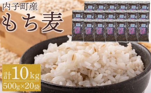 
内子町産 もち麦（10kg）【食品 加工食品 人気 おすすめ 送料無料】
