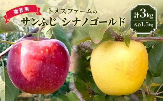 
                  サンふじ・シナノゴールド詰合せ（贈答用） 各約1.5kg 計3kg　トメズファーム　りんご　長野　信州　小諸　果物　フルーツ　食べ比べ [№5915-1669]
                