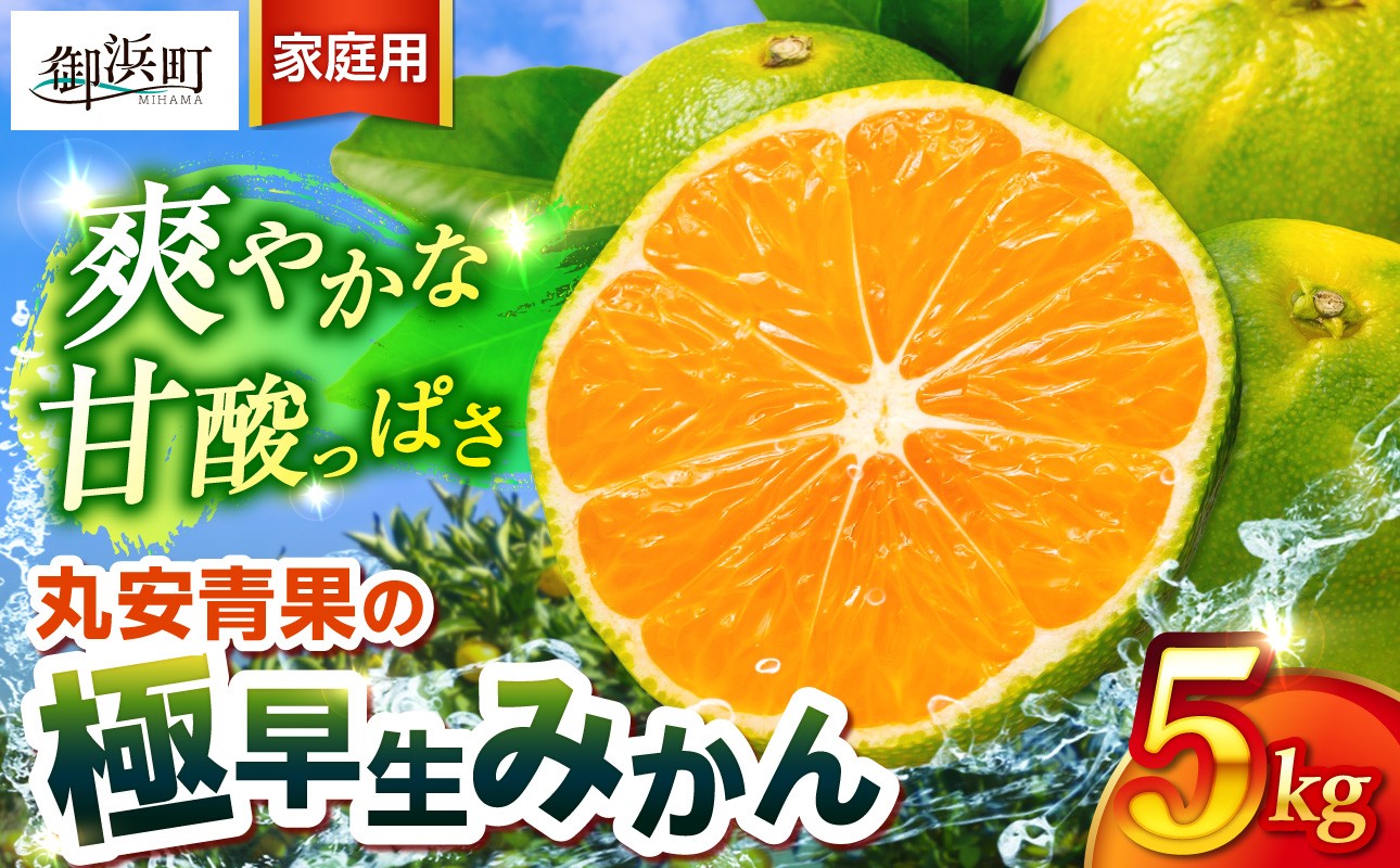 
                  丸安青果の極早生みかん5キロ（家庭用) 【果物 フルーツ  訳あり 家庭用 10月 蜜柑 みかん 極早生みかん 5kg 三重県 御浜町】
                