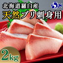 【ふるさと納税】北海道 天然ぶり刺身2kg（250g ×8パック） 魚 海産物 魚介 魚介類 知床 しれとこ 羅臼 らうす 北海道 世界自然遺産 送料無料 人気 ブランド 天然 ブリ 鰤 刺身 海産 生産者 支援 応援 F21M-619