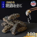 【ふるさと納税】三陸産 乾燥 ナマコ 100g 海参 中華 高級食材 高級珍味 なまこ 海鼠 エスエスフーズ 送料無料 宮城 塩竈