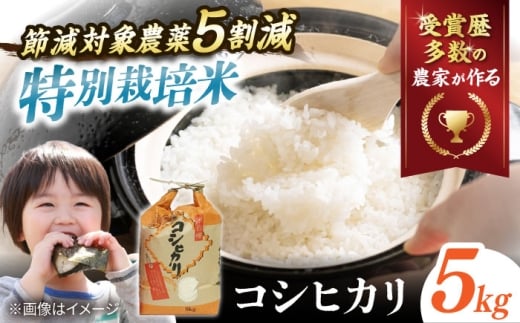 【令和7年産】【特別栽培米】コシヒカリ 5kg 滋賀県長浜市/株式会社ＴＰＦ [AQCQ012] コシヒカリ こしひかり 特別栽培米 減農薬 冷めてもおいしい お弁当 特別栽培認証 滋賀県産 滋賀県 長浜市